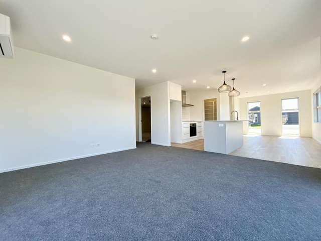 15 Larch Drive Rolleston_4
