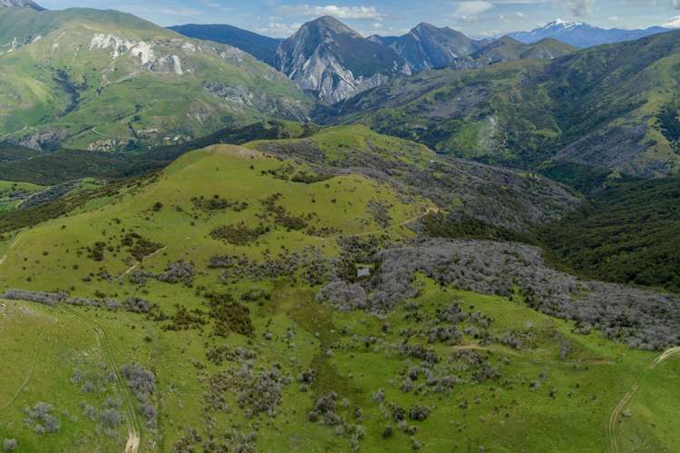 1505 Peggioh Road Ward_21