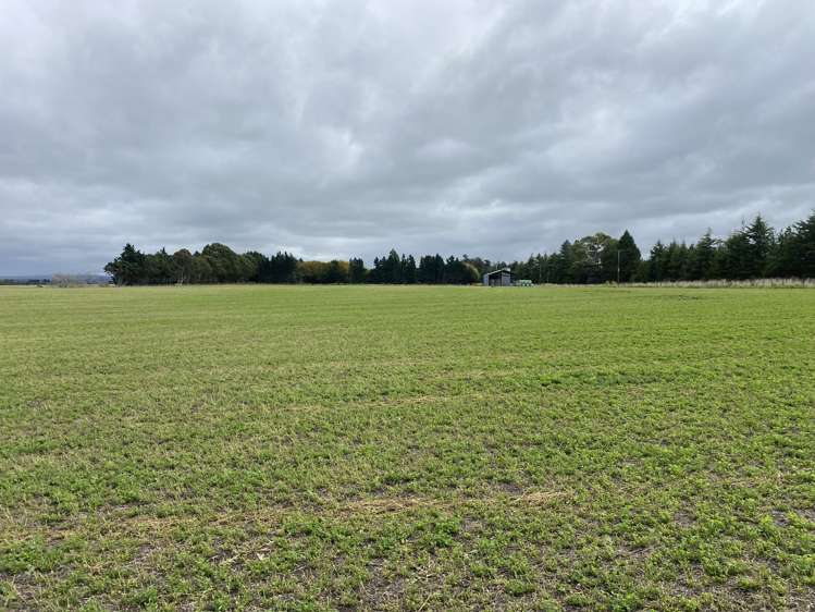 Bristol Road Pareora_2