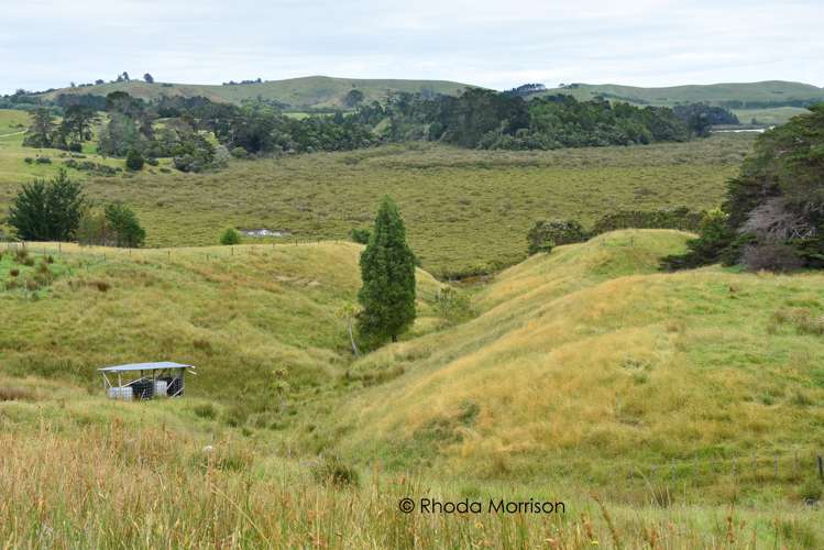 10 Te Pahi River Drive Paparoa_40