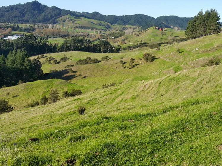 157 Parakiwai Quarry Road Whangamata_10