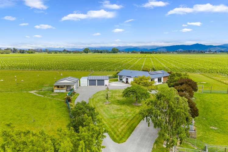 445 Dillons Point Road Riverlands_31