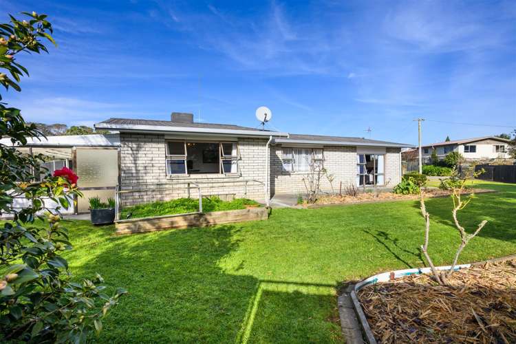 6 Flower Street Bulls_39