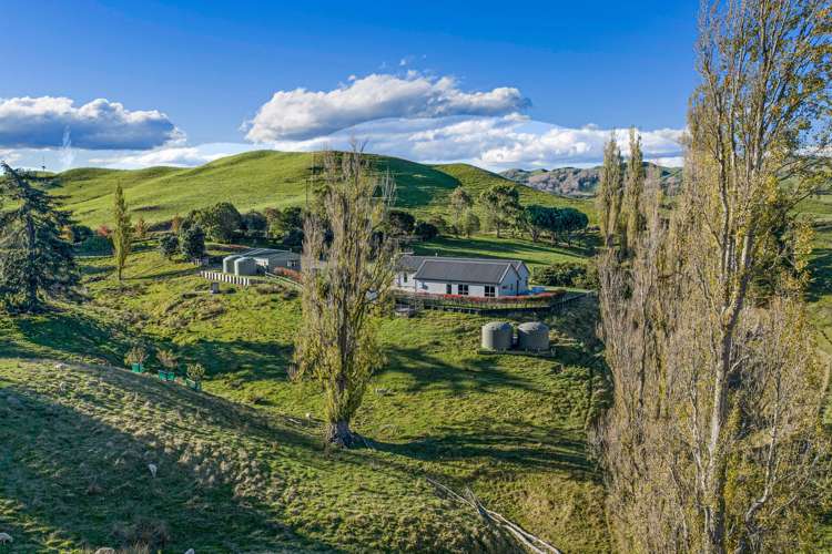 1567 Puketitiri Road Puketapu_23