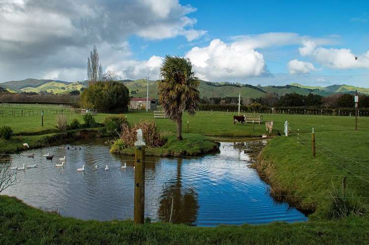 659 Taniwha Road Waerenga_9