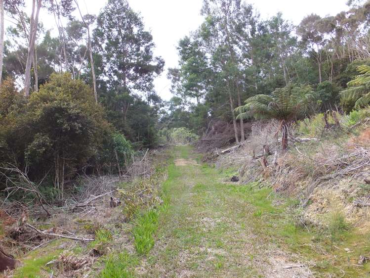 63 Wainui Road Kaeo_13