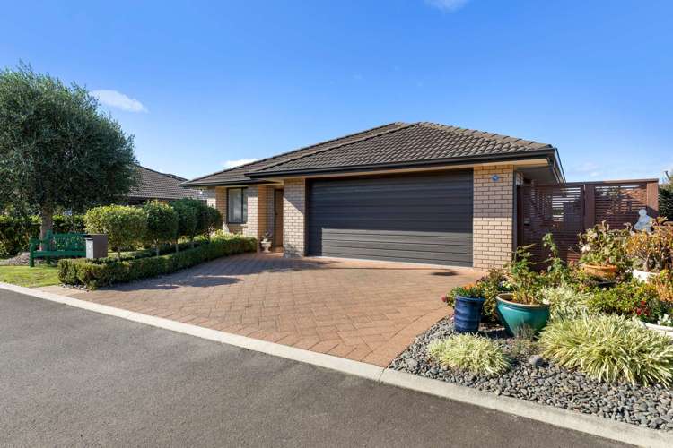 37a Malta Crescent Katikati_17
