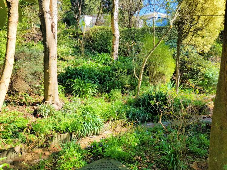 105 Marine Drive Diamond Harbour_10