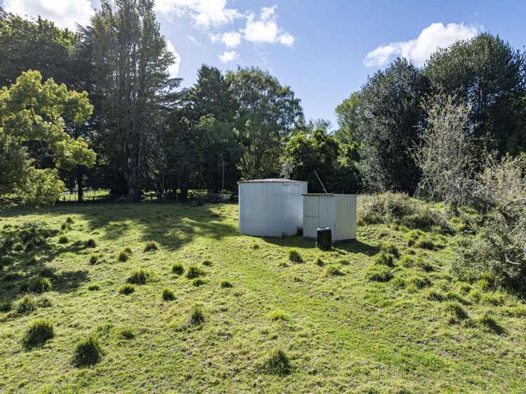 4883 State Highway 2 Putorino_14