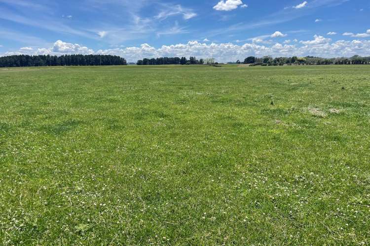 108 McKays Line Cheltenham_17