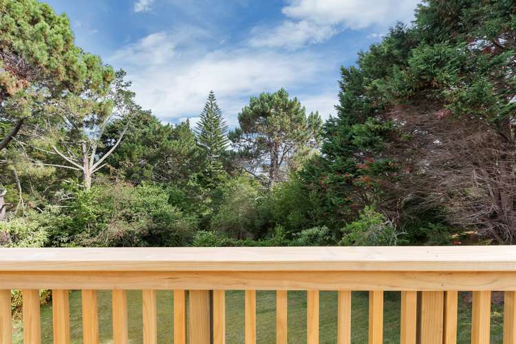 28 Raewyn Street Morningside_15