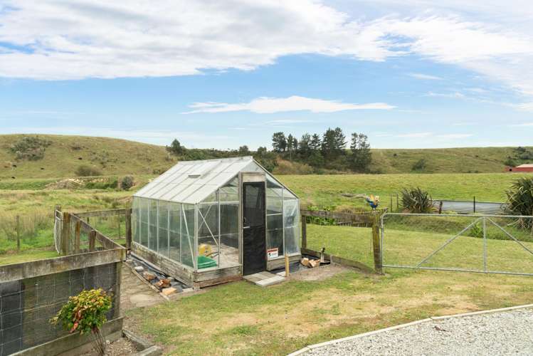 265 Potts Road Koputaroa_16