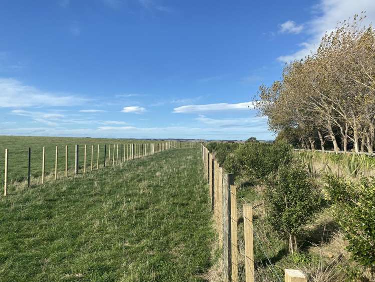 188 Reynolds Road Ratana_6