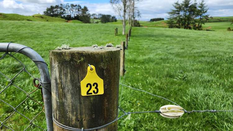 953 Upland Road Egmont Village_22