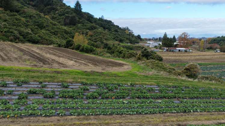 154a Takaka Hill Highway, Riwaka Motueka_4