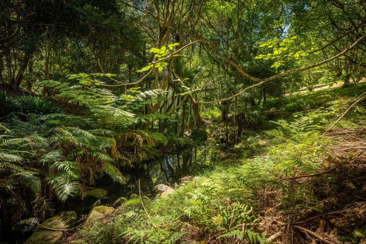 236 Willoughby Road Tahawai_24