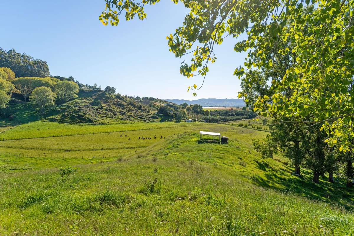 Lot 2 Repongaere Road_1