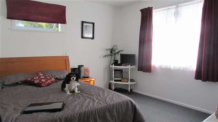 43 Aorangi Road Paeroa_9