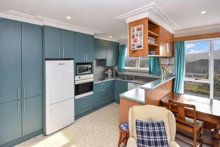 51 Scobie Road Waverley_5