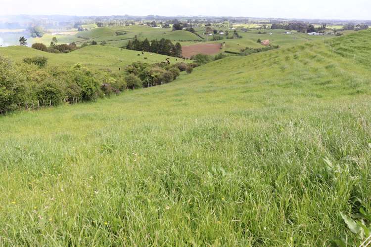 346 Lincoln Road Inglewood_12