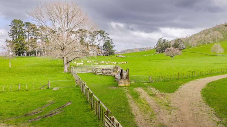 352 Hatuma Road Waipukurau and Surrounds_4