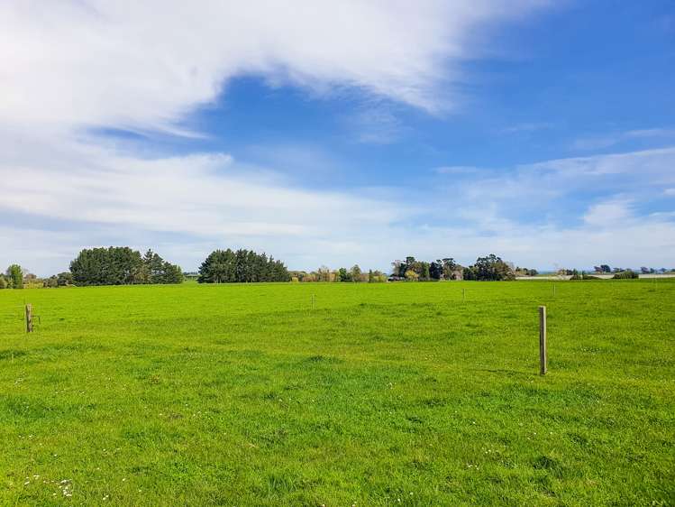 219 State Highway 3 Westmere_11