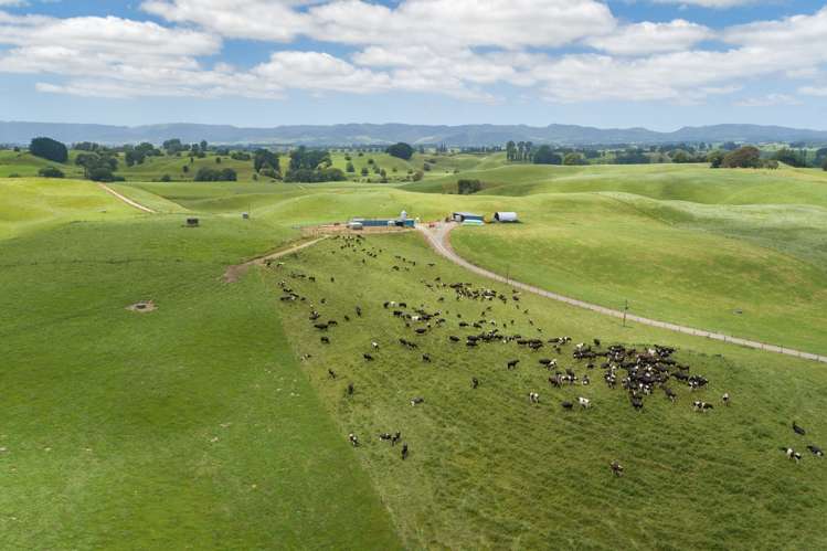 395 State Highway 5 Tapapa_2