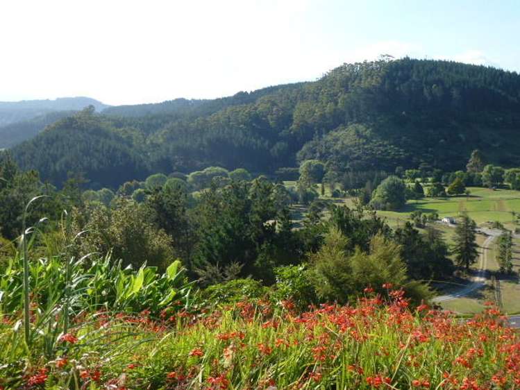 131 Pacific View Drive Whangamata_1