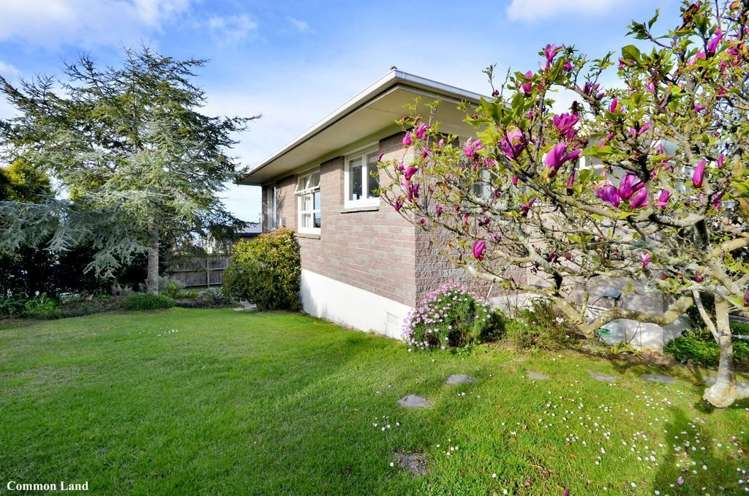 4/12 Castor Bay Road Castor Bay_15