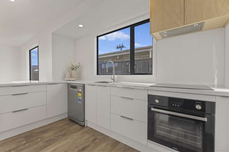 1b Kings Avenue South Dunedin_9