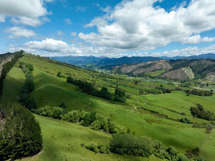 281 Tadmor Valley Road Tapawera_30