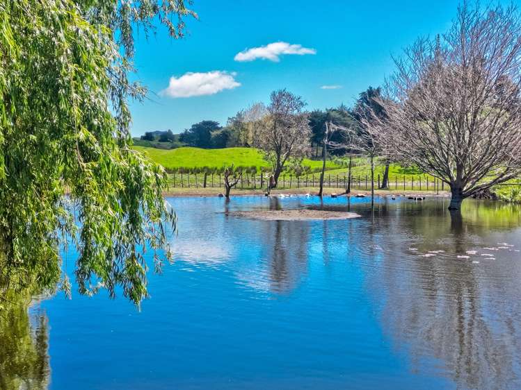 21 Sandcroft Drive Westmere_33