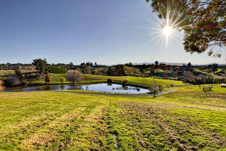 43 Foley Road Upper Moutere_22