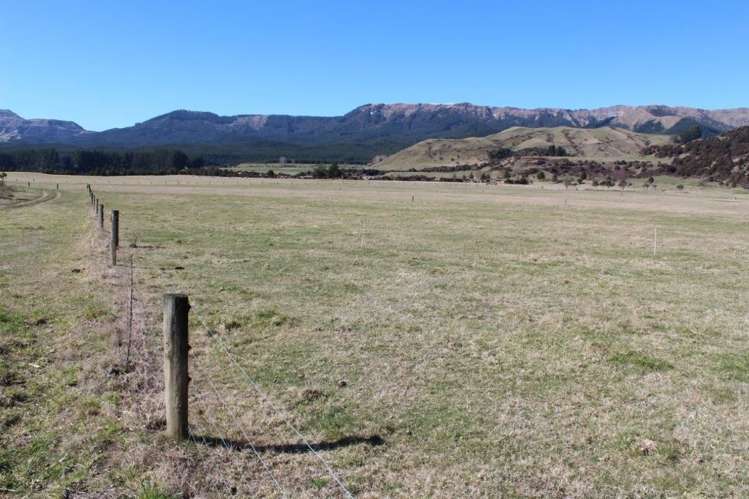 408 Mcvicar Road Te Haroto_15