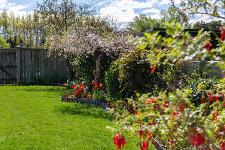 32 Andrew Street Masterton_22