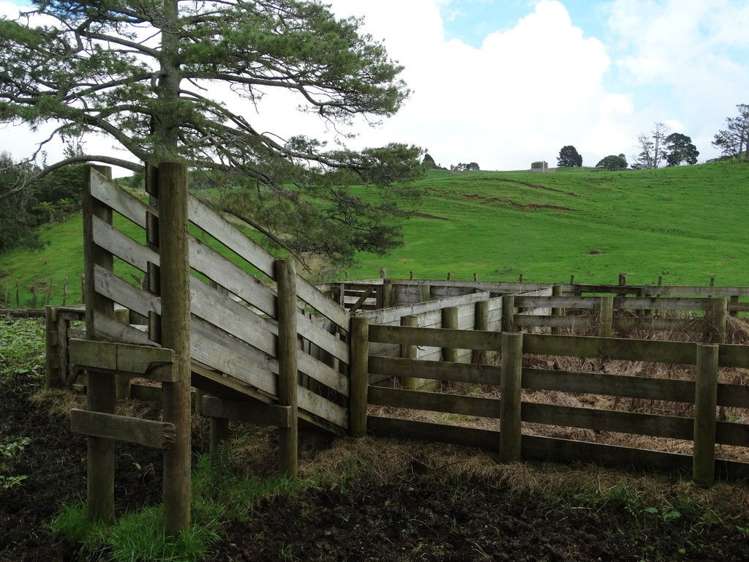 851 Wright Road Aongatete_14