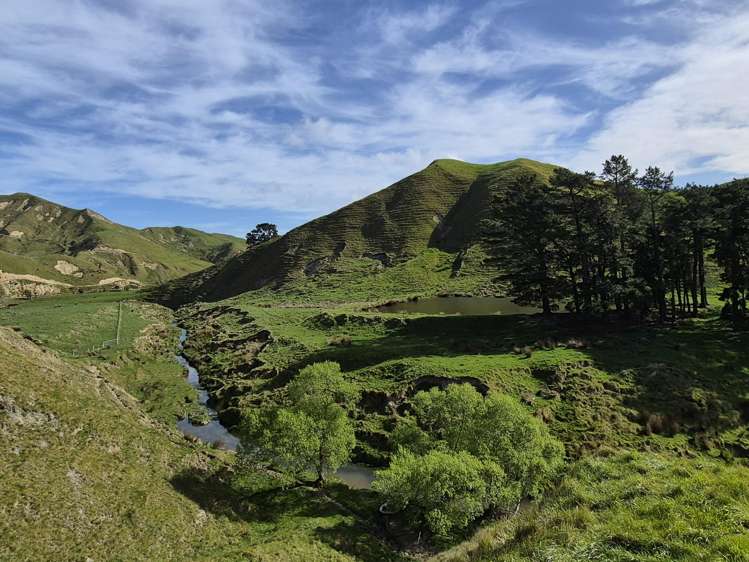 2269 Coast Road Pongaroa_16