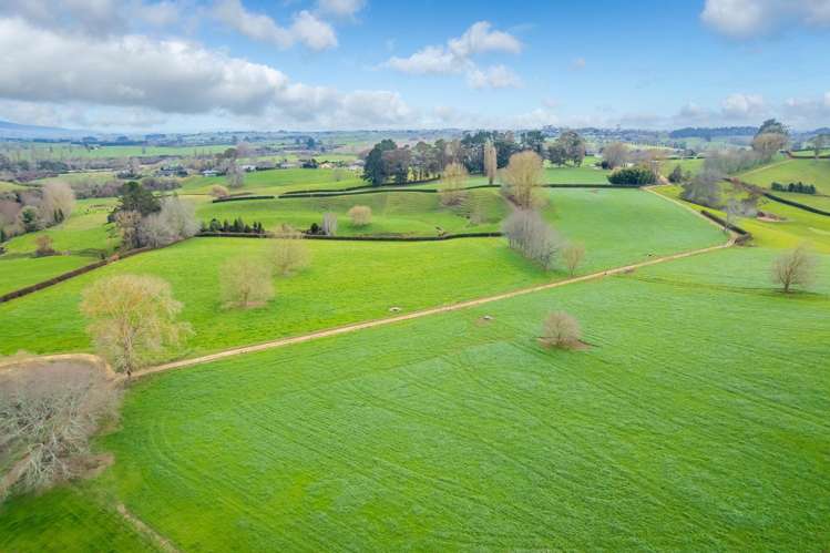 275 St Leger Rd Kihikihi_25