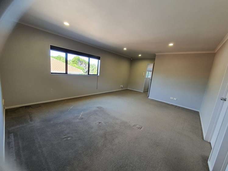 31a Tiverton Road Avondale_12