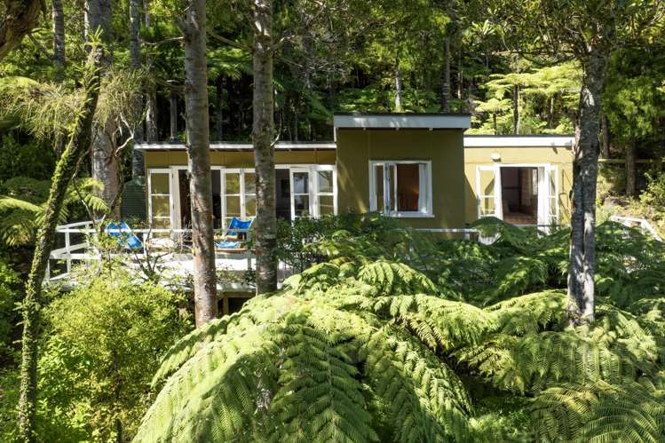 101-103 Lone Kauri Road_0