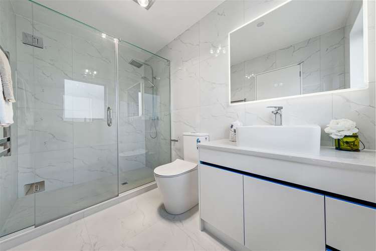 22 Tipu Road Flat Bush_13