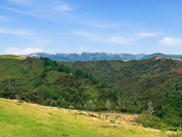 Stunning Landlocked Parcel of Land