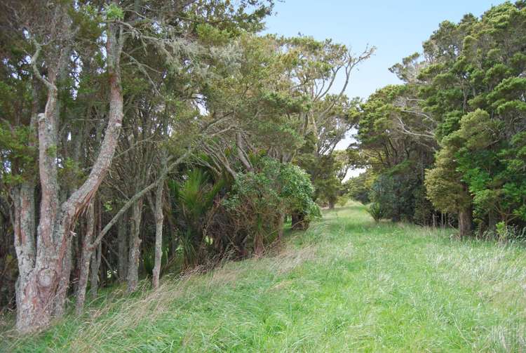 542e Oneriri Road Kaiwaka_7