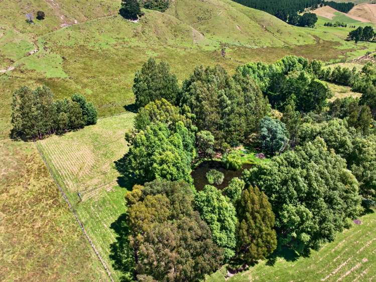 869 Norfolk Road Carterton_32