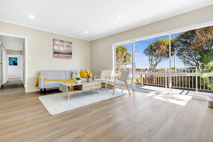 238 Browns Road Clendon Park_10