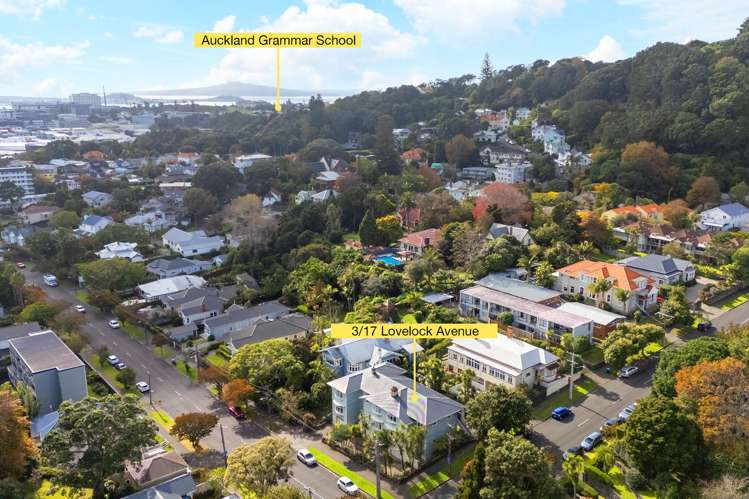 3/17 Lovelock Avenue Mount Eden_23
