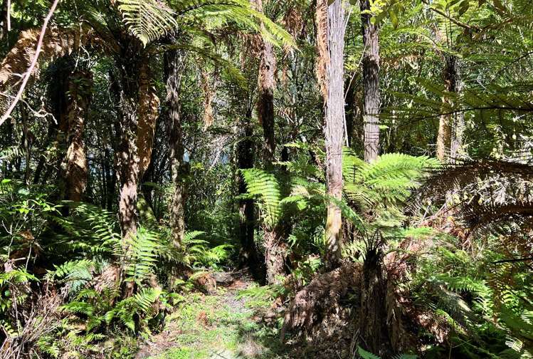 754 Rutherglen Road Rutherglen_13