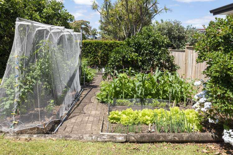 14 Baringa Place Botany Downs_22