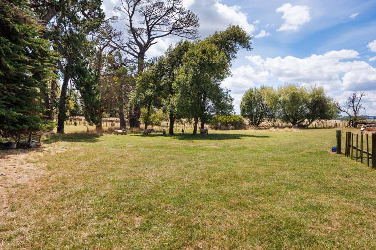 176 Colemans Road Marton_20