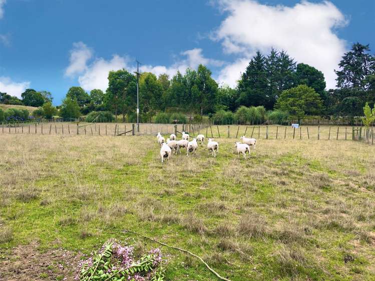 471 Porangahau Road Waipukurau and Surrounds_14